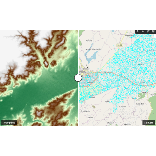 Sel Riski Modellemesi